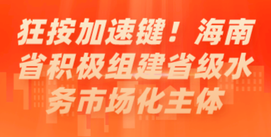 狂按加速键！海南省积极组建省级水务市场化主体